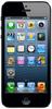 Смартфон Apple iPhone 5 16Gb Black & Slate - Амурск
